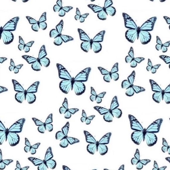 Meet your Posher, Chloe - Picture 1 of 1